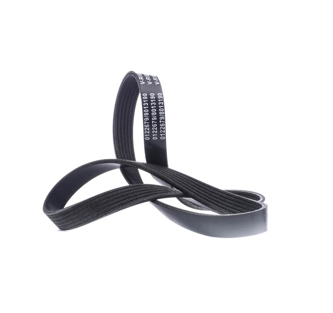MINI STARK Cinghia SKPB-0090131