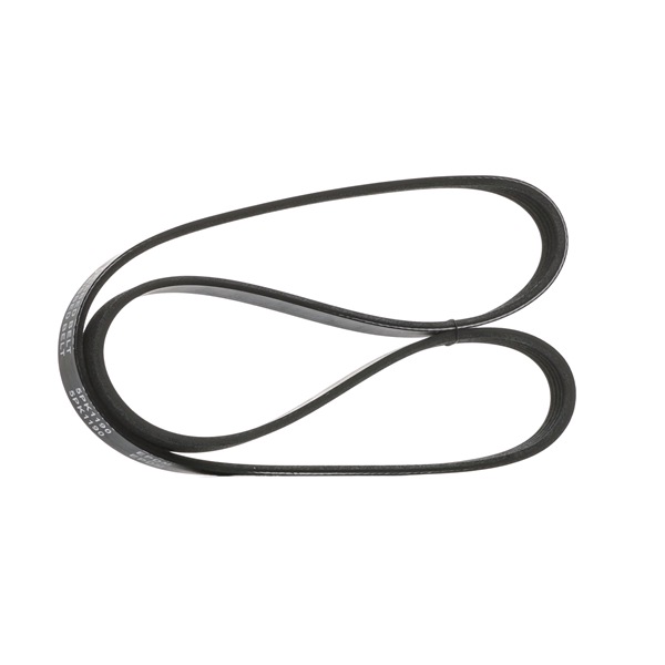 JEEP STARK Generatorrem SKPB-0090138