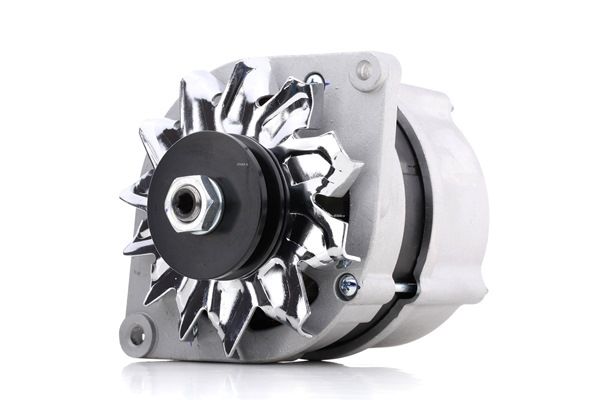 MOSKVICH STARK Correas SKGN-0320069
