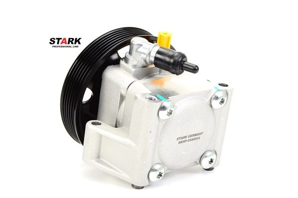 STARK SKHP-0540054 Stuurbekrachtigingspomp Ford C Max DM2 1.6 100 Pk SHDA
