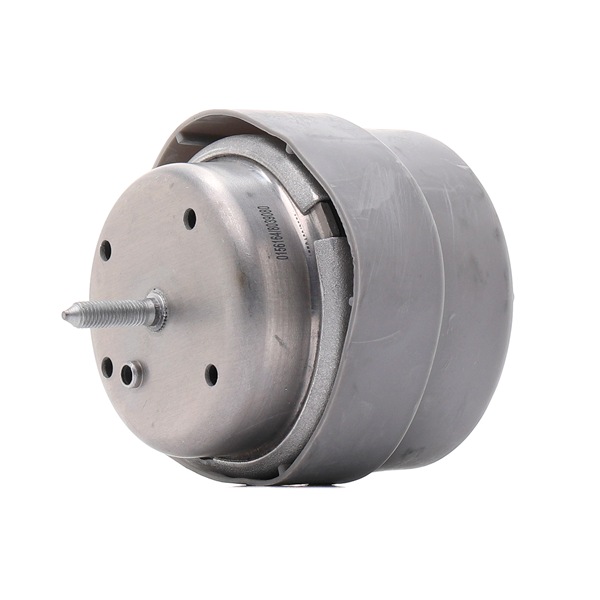 AUDI STARK Supporti motore SKEM-0660070