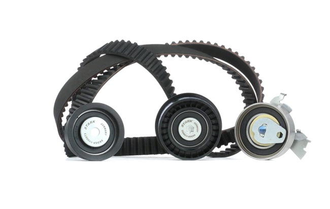 STARK SKTBK-0760091 Steuerkette 1.4 i 16V (F08, F68, M68) 91 PS X 14 XE