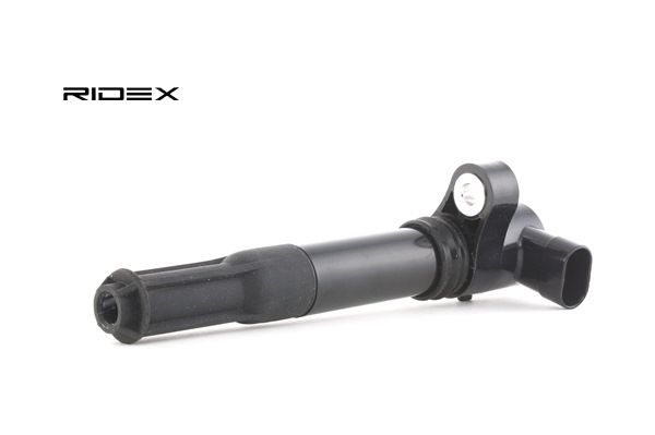 FIAT RIDEX Zündleiste 689C0009