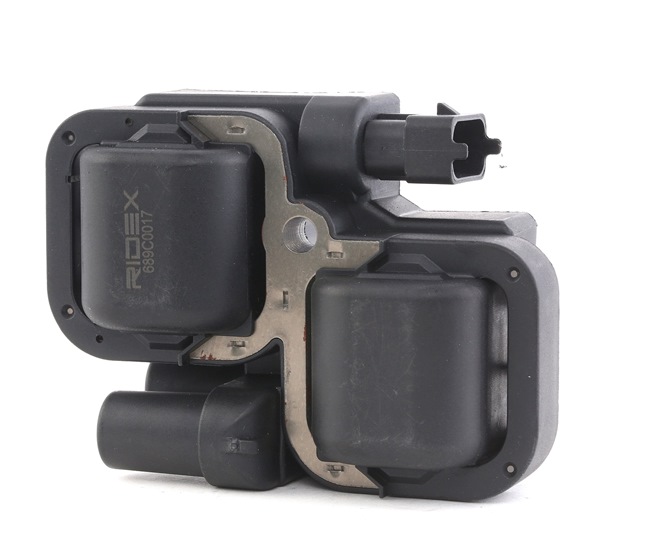 RIDEX 689C0017 Gløderør 3.2 218 HK EGX