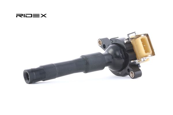 BMW RIDEX Zündkassette 689C0024