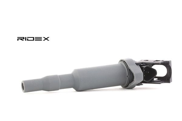 BMW RIDEX Zündleiste 689C0029