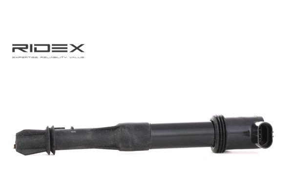 FIAT RIDEX Zündspulen 689C0036