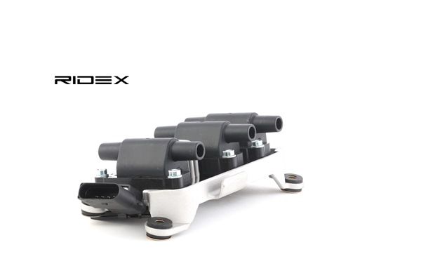 RIDEX 689C0042 Zündspule Passat 3B5 2.8 V6 Syncro/4motion 193 PS ACK