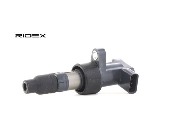 JAGUAR RIDEX Bobina de inductie 689C0055