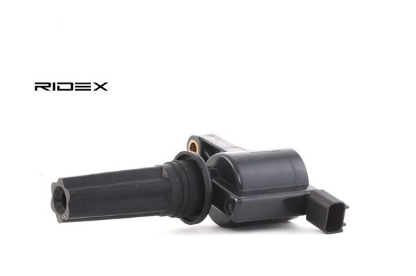 JAGUAR RIDEX Bobina de aprindere 689C0056