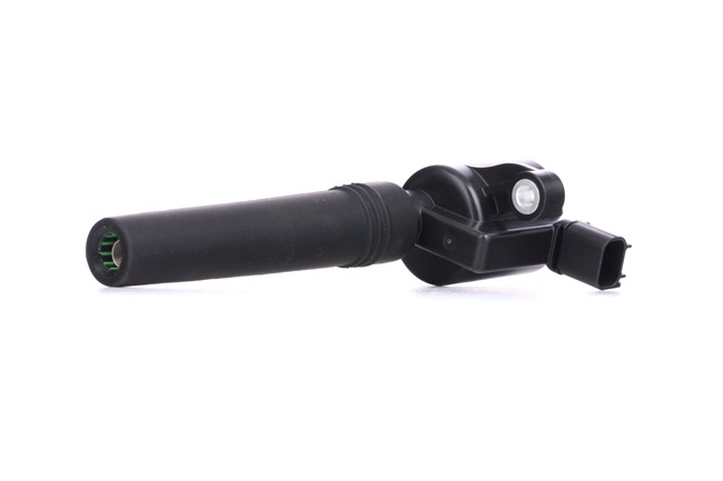 JAGUAR RIDEX Bobina de aprindere 689C0064