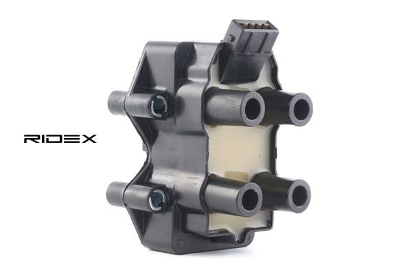 OPEL RIDEX Zespół cewek 689C0065
