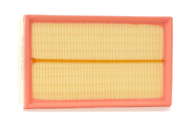 DS RIDEX Luchtfilters 8A0233