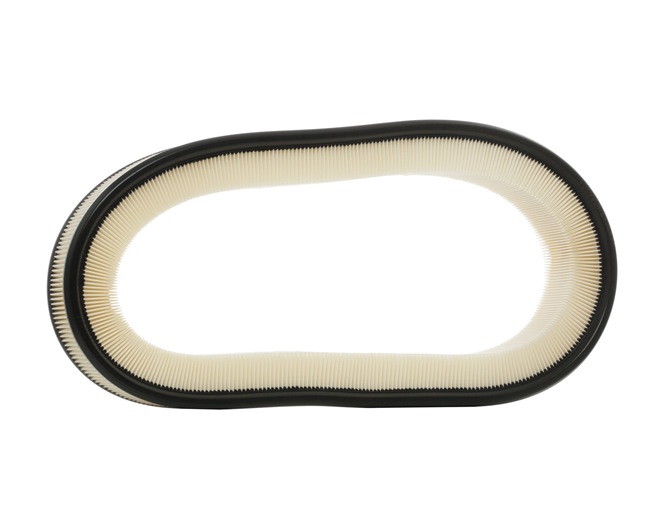 PUCH RIDEX Motorluftfilter 8A0195