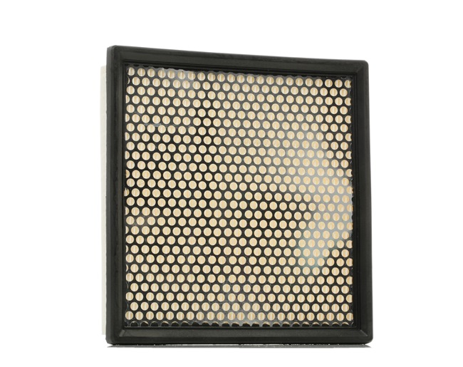 CHRYSLER RIDEX Air filters 8A0209