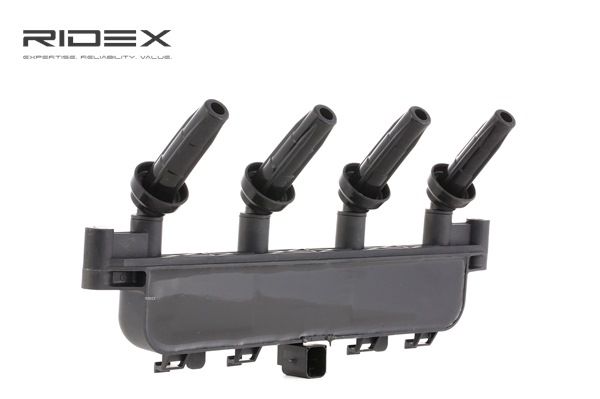 PEUGEOT RIDEX Zündspuleneinheit 689C0091