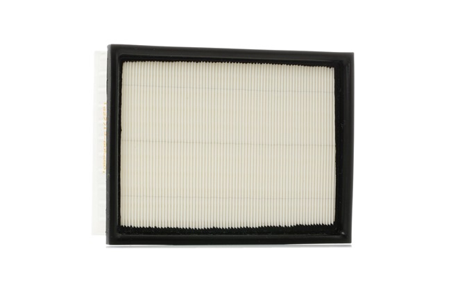 RIDEX 8A0324 Luftfilter CITROËN C4 I Limousine 2.0 Flex 148 PS RFJ (EW10A)