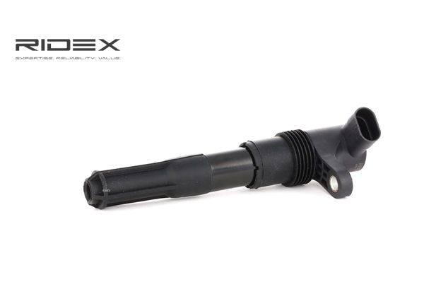 FIAT RIDEX Zündspulen 689C0095