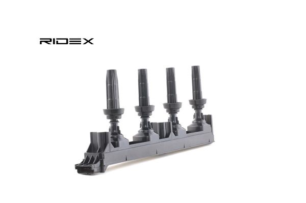 PEUGEOT RIDEX Zündspuleneinheit 689C0111