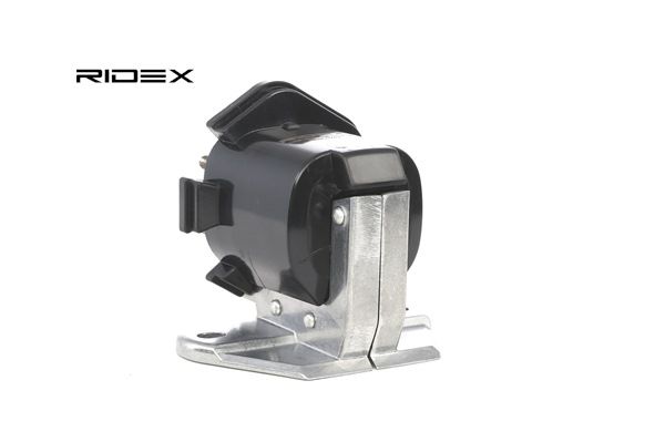 RIDEX 689C0243 Bobine Mercedes E Class W124 E 500 (124.036) 326 Pk M 119.974