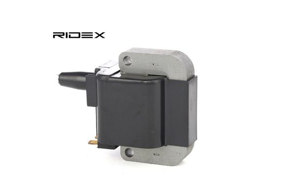 HONDA RIDEX Tändspolar 689C0117