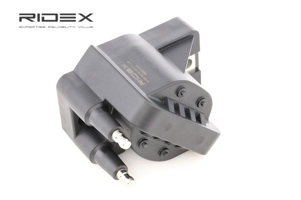 OPEL RIDEX Zespół cewek 689C0133