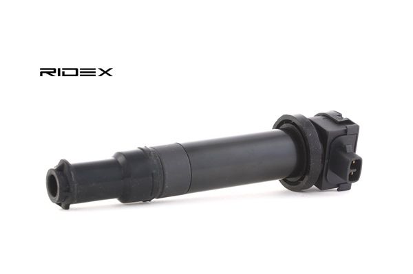 689C0134 Bobine d'allumage RIDEX Kia prix