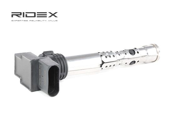 RIDEX 689C0145 Spinterogeno 1.2 54 CV AWY