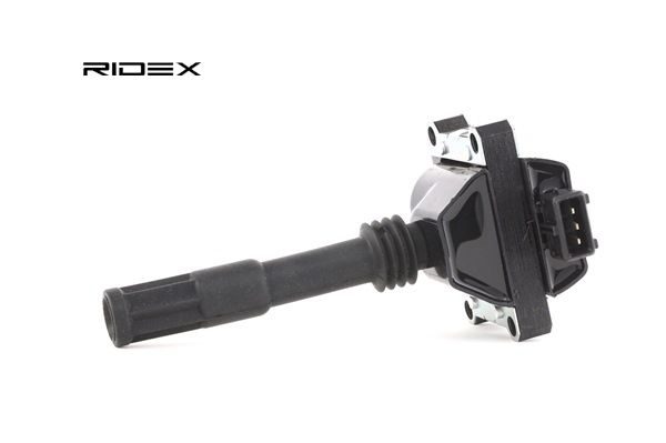 RIDEX 689C0146 Doigt d'allumeur 3.2 V6 (841.AXF110) 230CV 2003