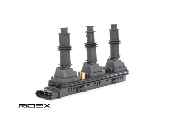 RIDEX 689C0274 Gløderør 3.2 V6 (F48) 211 HK Z 32 SE