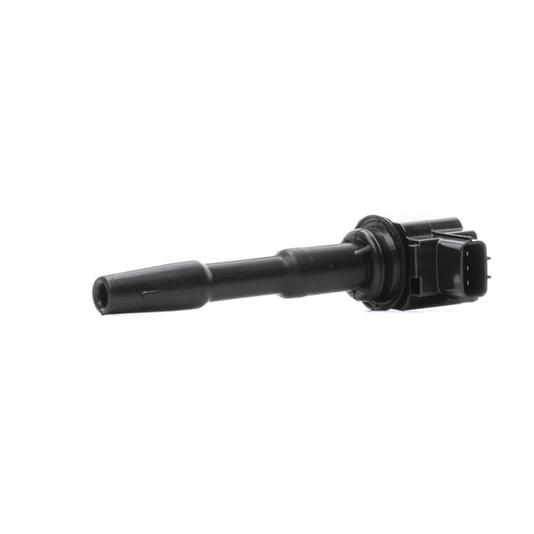 DACIA RIDEX Tændspoler 689C0270