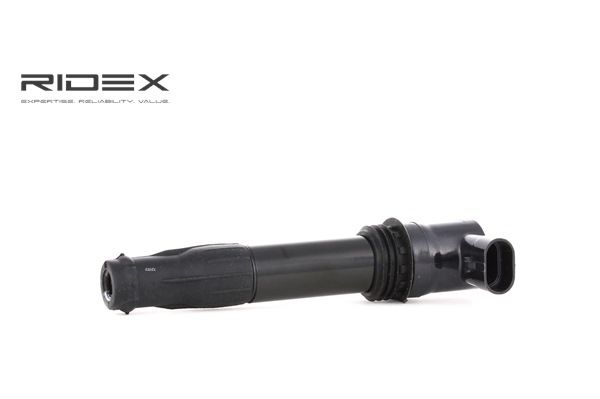 LAND ROVER RIDEX Gyújtótekercs 689C0260