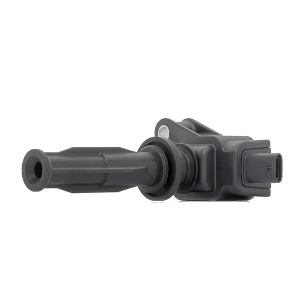 FORD RIDEX Zündleiste 689C0257