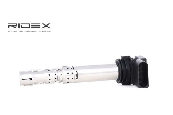 AUDI RIDEX Zündspulen 689C0235