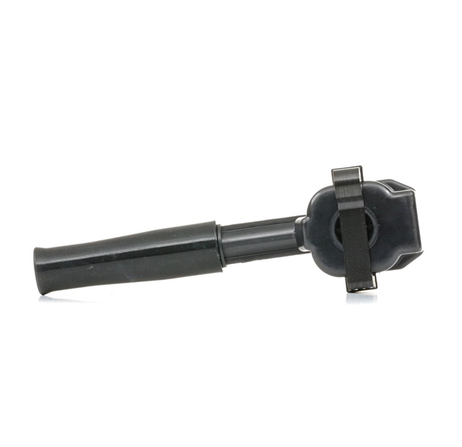 JAGUAR RIDEX Bobina de aprindere 689C0213