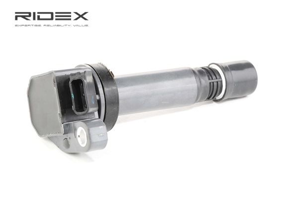 RIDEX 689C0206 Módulo de encendido 1.0 i 55 cv EJ-DE