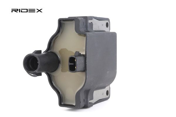 VW RIDEX Zündleiste 689C0200