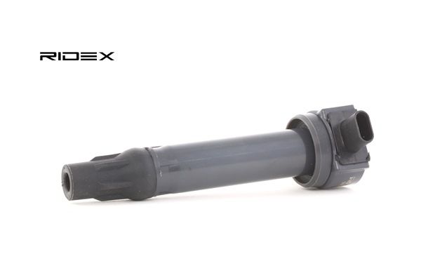 FIAT RIDEX Zündspulen 689C0169