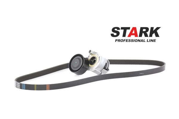 STARK SKRBS-1200010 Kit de courroie d'accessoire Renault Grand Modus 1.6 112CV 2014