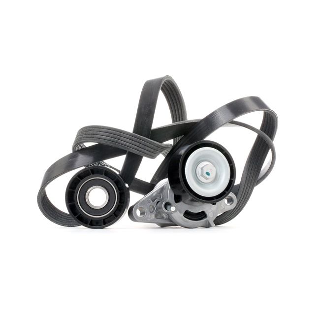 STARK SKRBS-1200018 Zestaw paska wielorowkowego Renault Scenic 1 2.0 16V (JA1D, JA17) 140 KM F4R 747