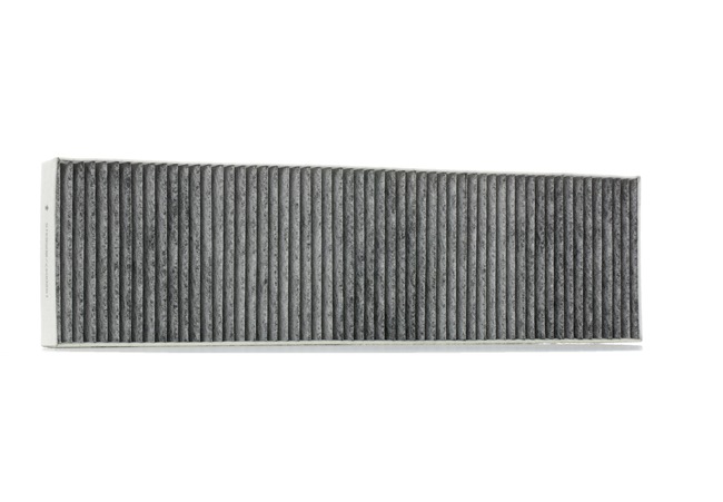 MINI RIDEX Filtro aria abitacolo 424I0210