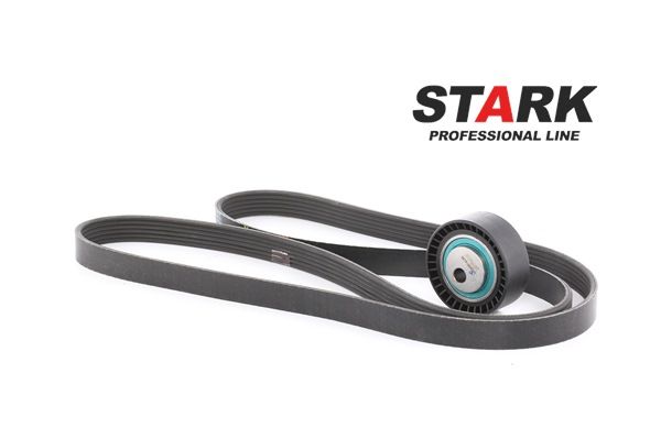 STARK SKRBS-1200038 Multireim sett Fiat Scudo Stasjonsvogn 2.0 JTD 16V 109 hk RHW (DW10ATED4)