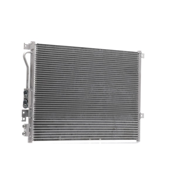 RIDEX 448C0168 Torkfilter aс 5.7 V8 4x4 326 hk EZB