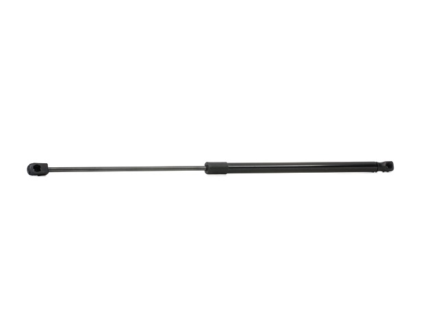 RIDEX 219G0318 Tailgate struts Renault Megane Scenic 1.9 dTi 98 hp F9Q 734