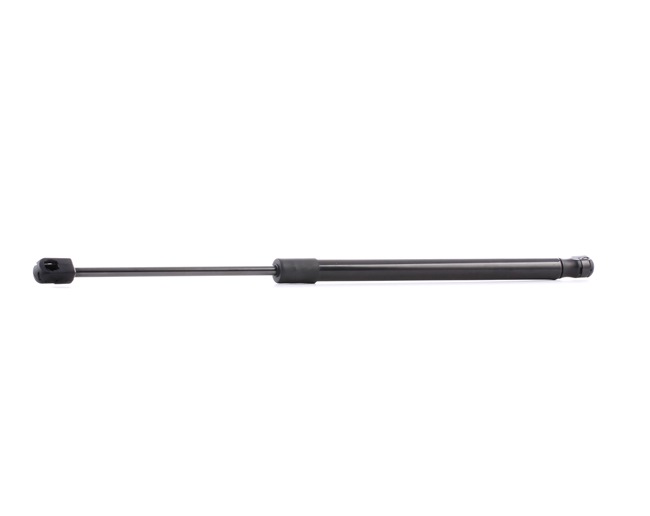 ABARTH RIDEX Boot gas struts 219G0259
