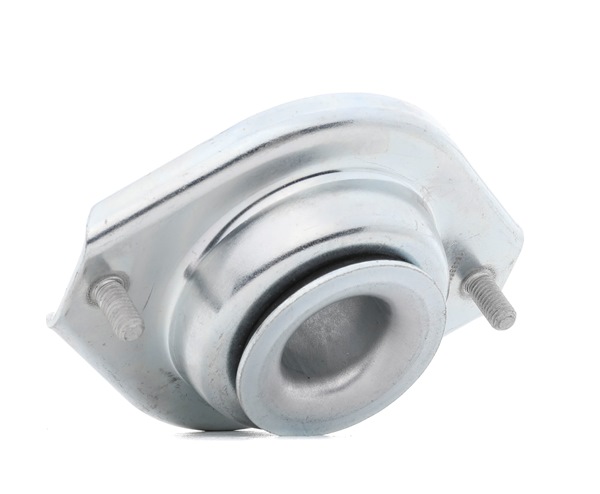 RIDEX 1180S0088 Trykakkumulator 1.0 (RB310) 53 HK G10A