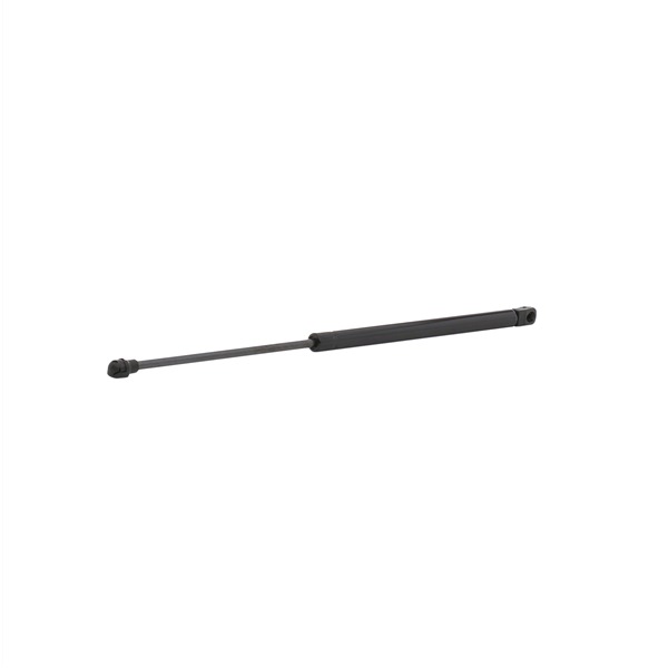 RIDEX 219G0004 Heckklappendämpfer Passat 3B5 2.3 VR5 Syncro/4motion 150 PS AGZ