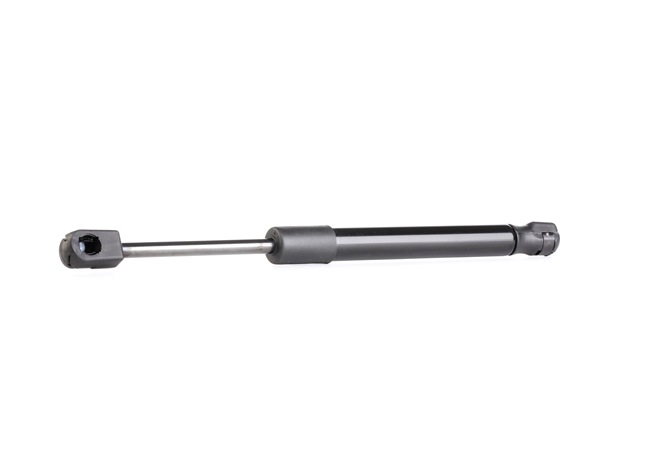 219G0041 RIDEX Heckklappendämpfer