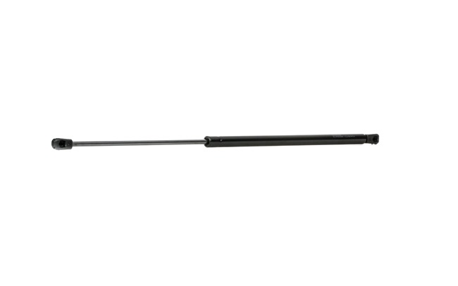 RIDEX 219G0374 Emblèmes 1.1 XA 54CV 1988