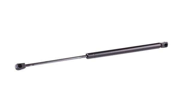 RIDEX 219G0360 Heckklappendämpfer Renault 19 B/C53 1.9 dT 90PS 1992